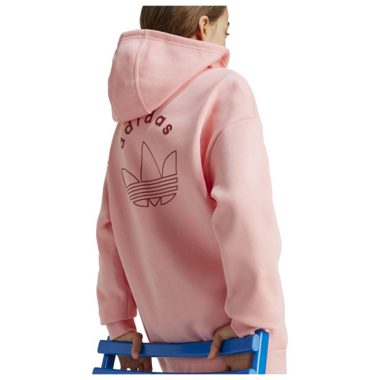 Adidas Παιδικό φούτερ Graphic Hoodie Kinds